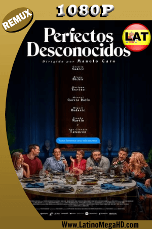 Perfectos Desconocidos (2018) Latino HD BDRemux 1080P ()
